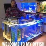 Welcome to my OFFISH