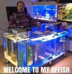 Welcome to my OFFISH