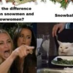 What's the Difference Between Snowmen and Snowwomen