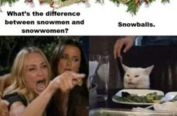 What's the Difference Between Snowmen and Snowwomen