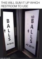 Which Restroom to Use in 2024