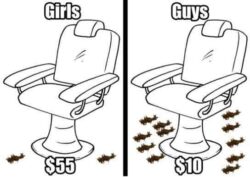 Women's Hairdresser vs Men's Barber