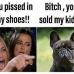 You Sold My Kids dog meme