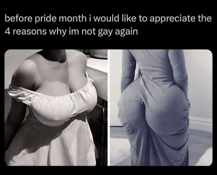 4 Reasons Why I'm Not Gay (Boobs + Cheeks)