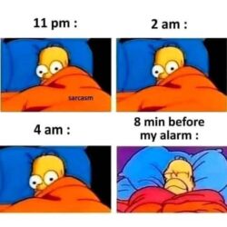 Another night of sleep (Homer Simpson sleeping meme)