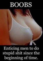 BOOBS Enticing men to do stupid shit since the beginning of time
