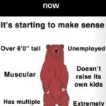 Bear Makes Perfect Sense now