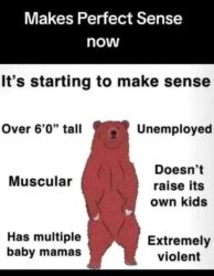 Bear Makes Perfect Sense now
