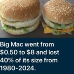 Big Mac Price and Size over the Years