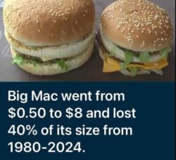 Big Mac Price and Size over the Years