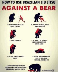 Brazilian Jiu Jitsu vs Bear