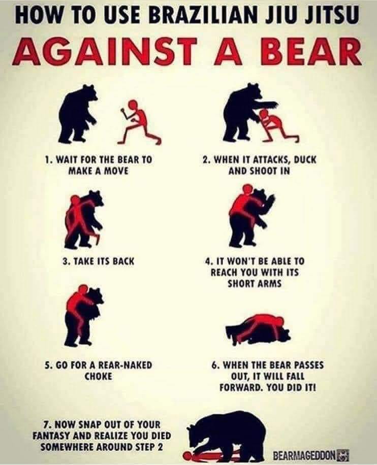 Brazilian Jiu Jitsu vs Bear - PYGear.com