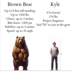 Brown Bear vs Man