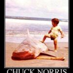Chuck Norris first time at the beach
