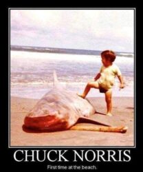 Chuck Norris first time at the beach