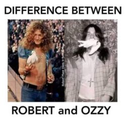 Difference Between Robert Plant and Ozzy Osbourne - Dove Usage