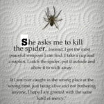 Do Not Kill The Spider