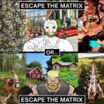 ESCAPE THE MATRIX
