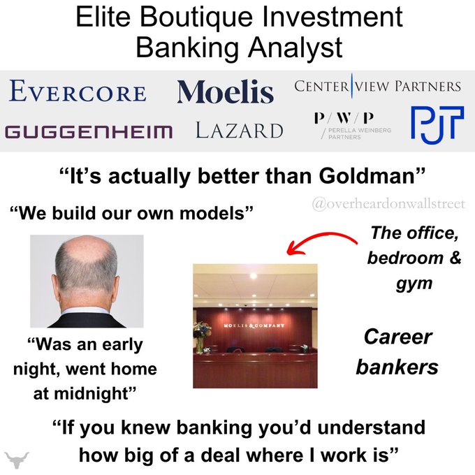 Elite Boutique Investment Banking Analyst