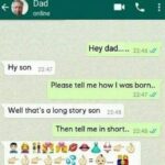 Explaining A Child Born in Emojis