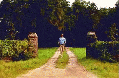 Fast Run RunningForest Gump GIF