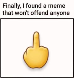 Finally I Found A Meme That Won't Offend Anyone
