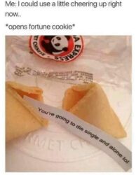 Fortune Cookie meme - You're going to die single and alone lol