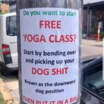 Free Yoga Class - Picking Up Your Dog Shit