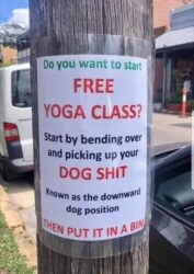 Free Yoga Class - Picking Up Your Dog Shit