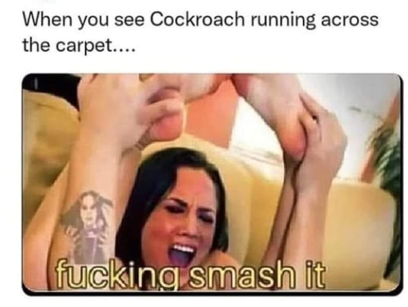 Fucking Smash It
