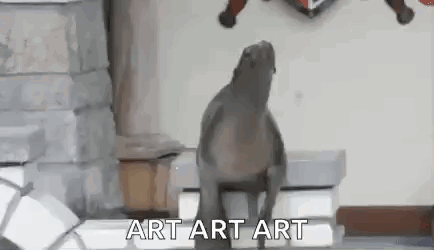 Funny animals Seal GIF