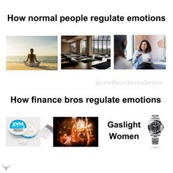 How Finance Bros Regulate Emotions meme