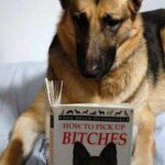 How To Pick Up BITCHES book - German shepherd dog