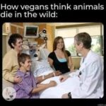 How vegans think animals die in the wild