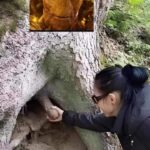 I AM GROOT (Happy Tree)