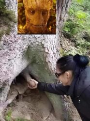 I AM GROOT (Happy Tree)