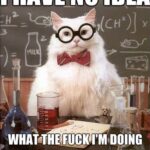 I Have No Idea What The Fuck I'm Doing