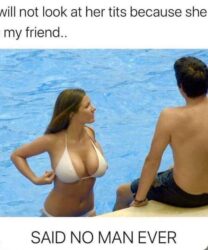 I will not look at her tits because she is my friend said no man ever - Lucy Pinder bikini boobs meme