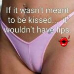 If it wasn't meant to be kissed it wouldn't have lips - pussy meme