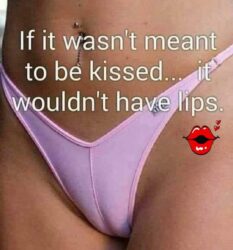 If it wasn't meant to be kissed it wouldn't have lips - pussy meme