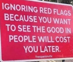 Ignoring Red Flags Because You Want To See The Good In People Will Cost You Later