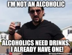 I'm Not An Alcoholic - Alcoholics Need Drinks I Already Have One meme