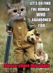 Let's Go Find The Human Who Abandoned You - Pet Meme