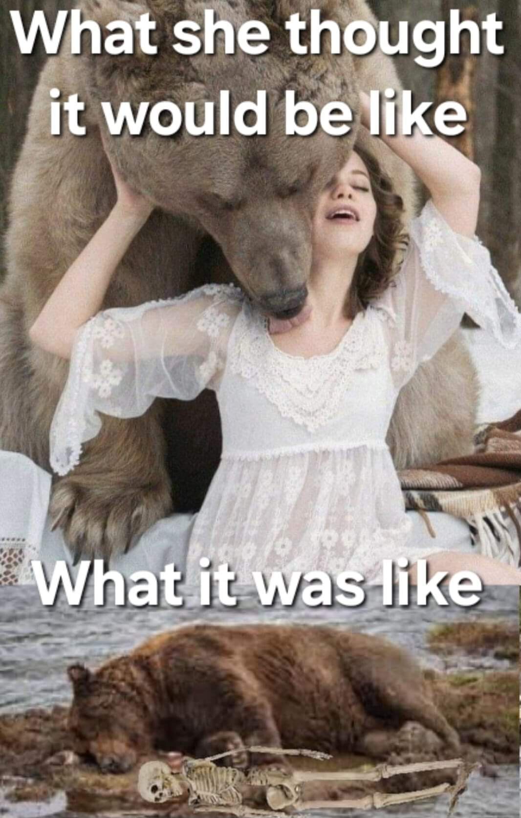 Love between a bear and a woman