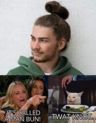Man Bun or Twat Knot