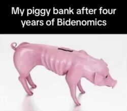 My Piggy Bank After Four Years Of Bidenomics