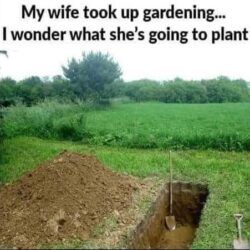 My wife took up gardening I wonder what she's going to plant