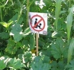 No Doggy Style Allowed Sign