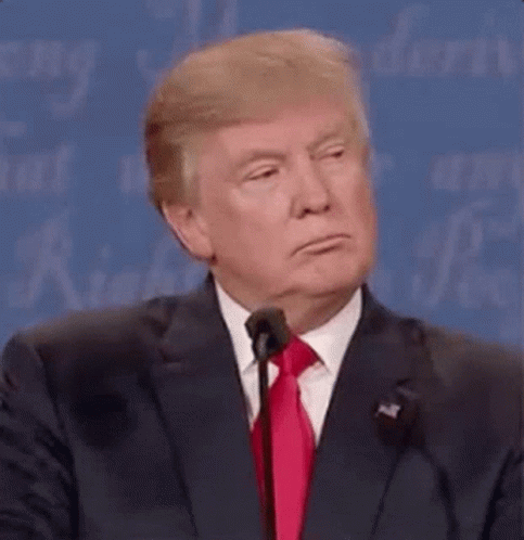 Nope Donald Trump GIF