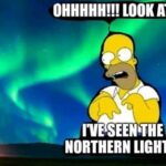 Northern Lights retard meme Homer Simpson